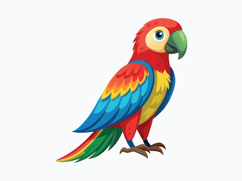 Parrot illustration: original artwork